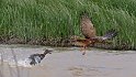 Mother attacks him